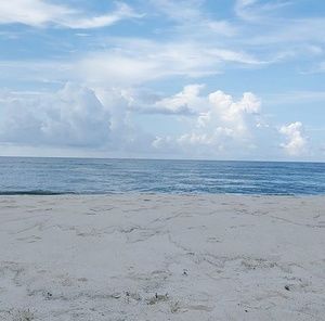 Meet your Posher, Ronielle